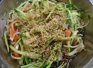 Macarrão Konjac ao Molho de Frango Desfiado e Gergelim