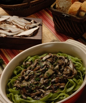 Fettuccine al Funghi Trifolati