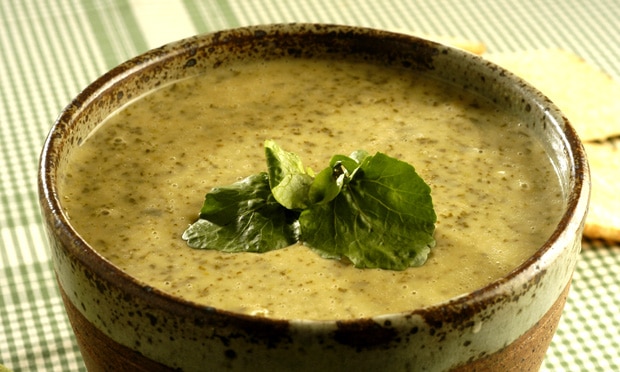 Sopa Creme de Agrião 03