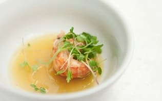 Gelatina Quente de Lagostim