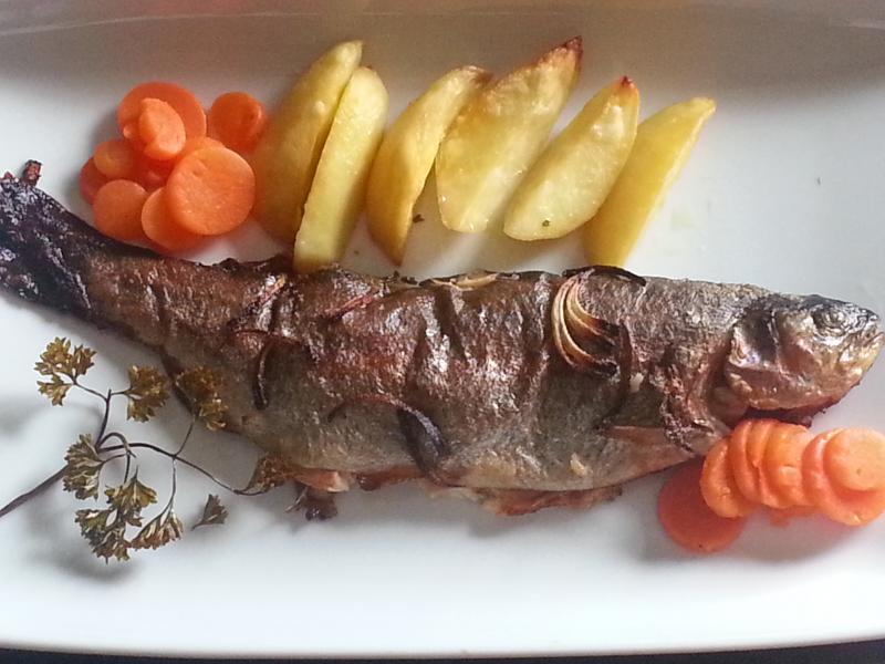 Truta Salmonada Assada no Forno