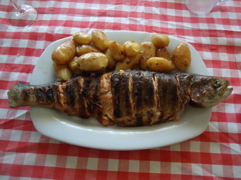 Truta Salmonada na Brasa