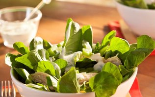 Salada de Agrião com Frango, Iogurte e Manjericão