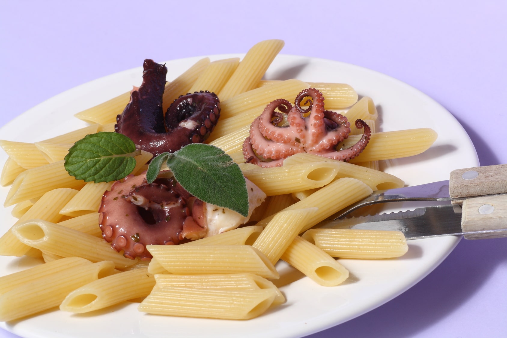 Penne com Polvo
