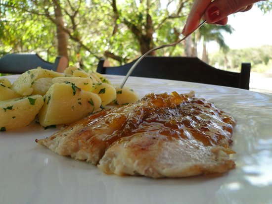 Truta Grelhada com Laranja