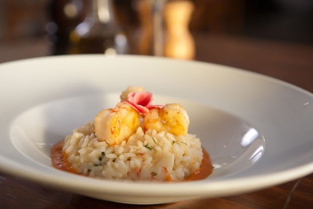 Risoto de Camarão com Champagne