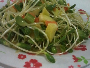Salada de Papaia e Brotos de Girassol